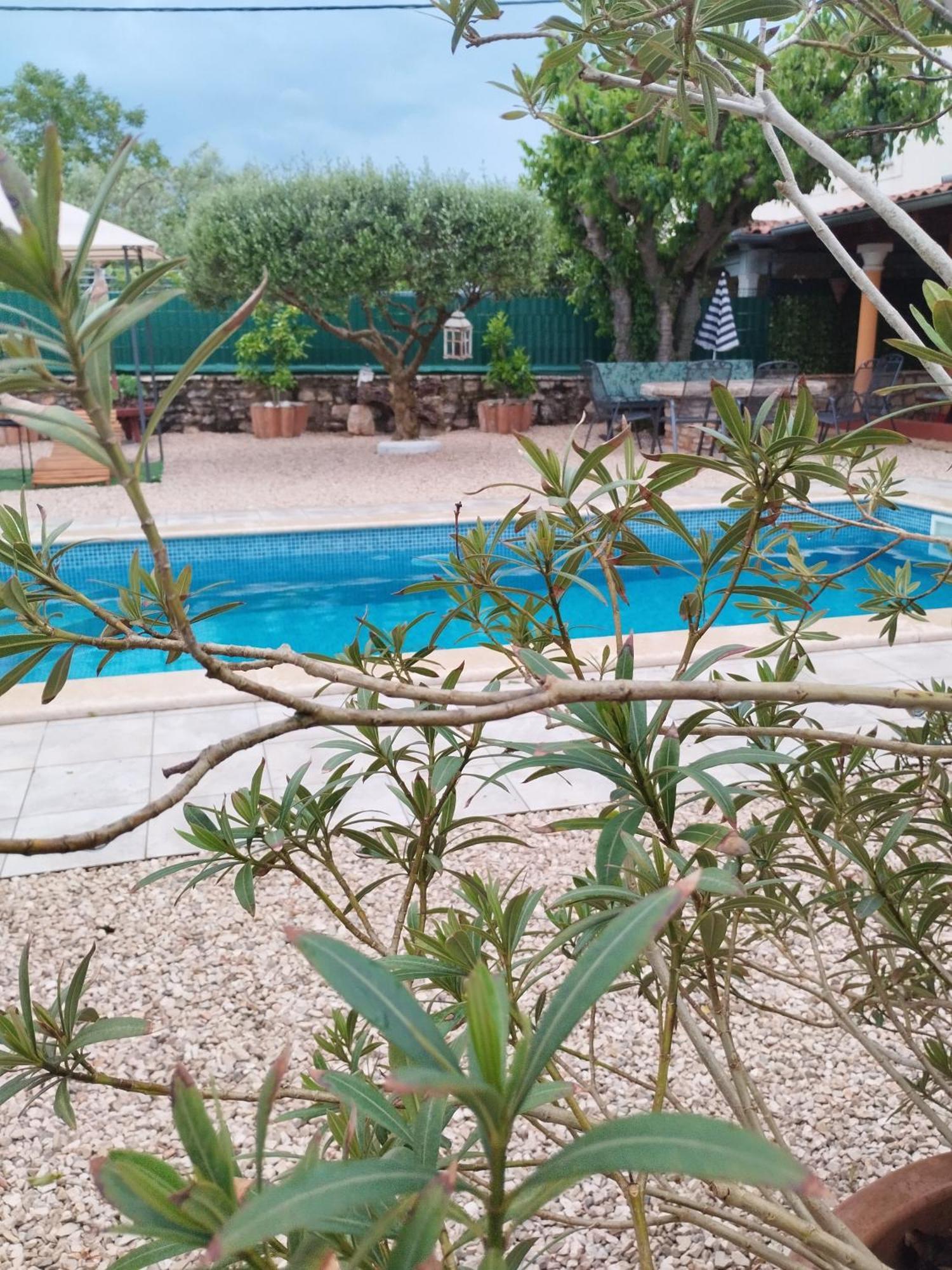 Villa Lucky Brtonigla Exterior foto